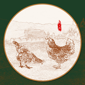 土雞
