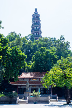 顺峰山公园青云塔和大成殿