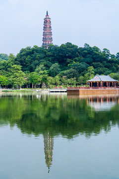 佛山顺德顺峰山公园景色