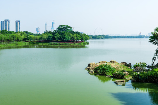 顺德顺峰山公园风光