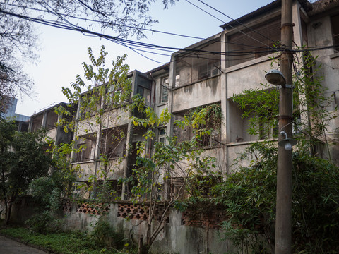 杭州历史建筑杭大新村