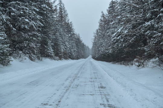 长白山雪景素材