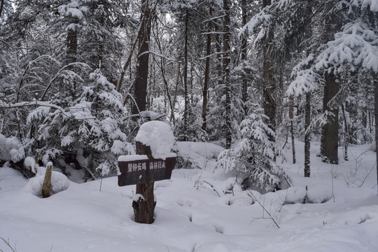 长白山雪景素材