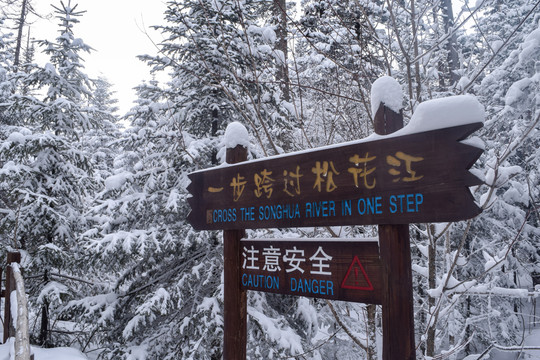 长白山原始森林雪景