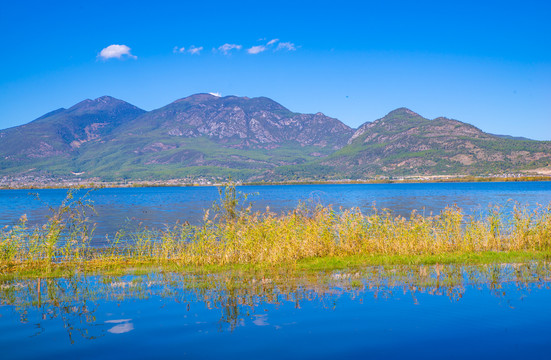 高原湿地