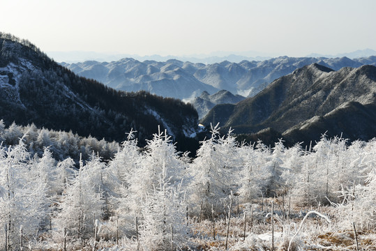 五峰独岭雪景