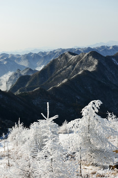 五峰独岭雪景