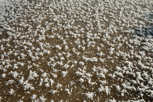 雪花素材