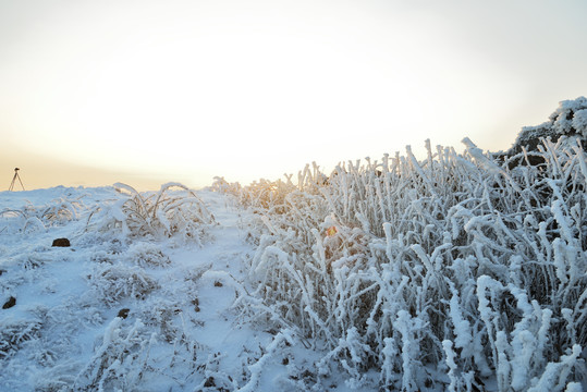 五峰独岭云海雪景风光