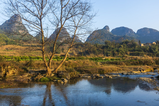 乡野冬景