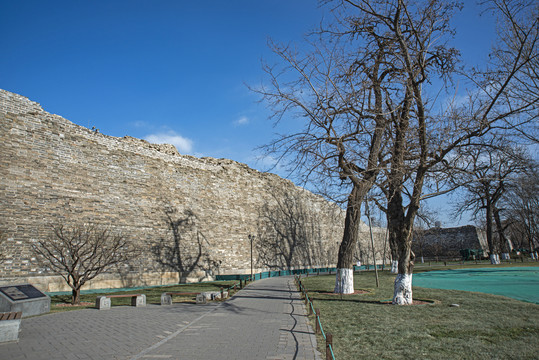 北京古城墙和古树