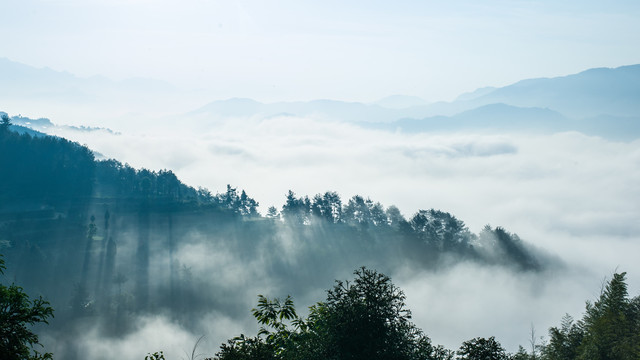 茗岙