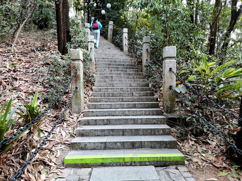 上山的石阶道路