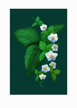 手繪草莓花
