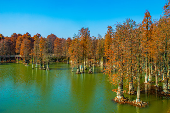 青山湖