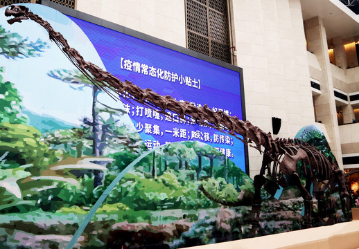 恐龍化石