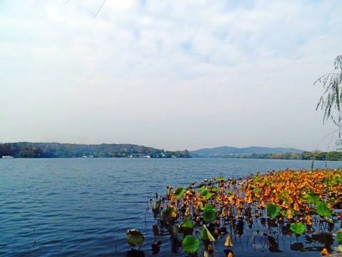 湖面风景画