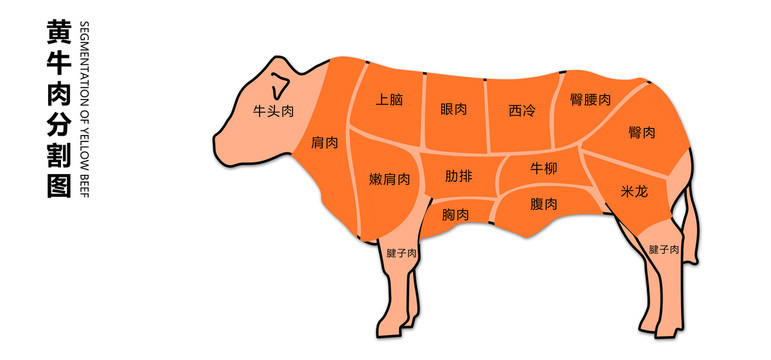 牛肉分割图