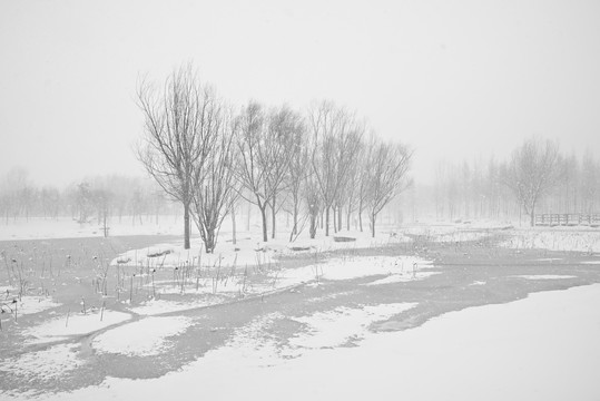 雪景