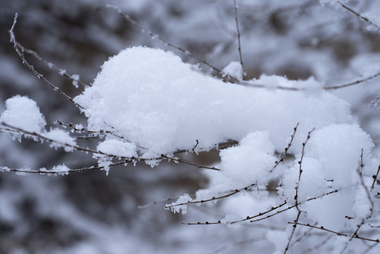 大雪