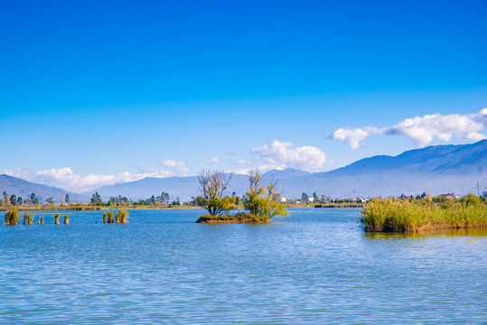 大理鹤庆草海湿地