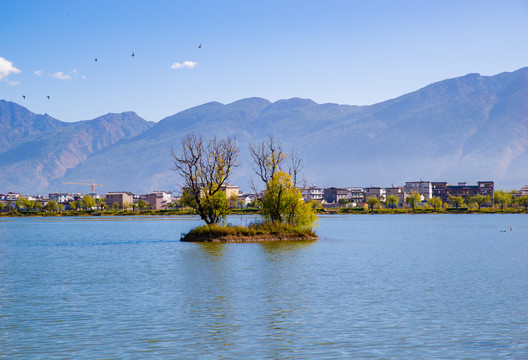 大理鹤庆草海湿地