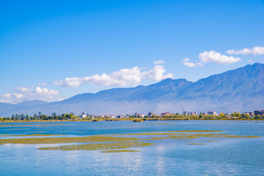 大理鹤庆草海湿地