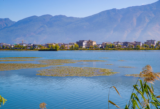 大理鹤庆草海湿地