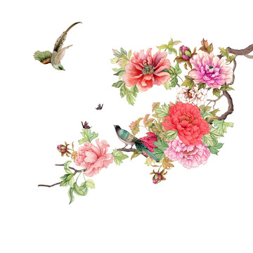 手繪水彩牡丹花