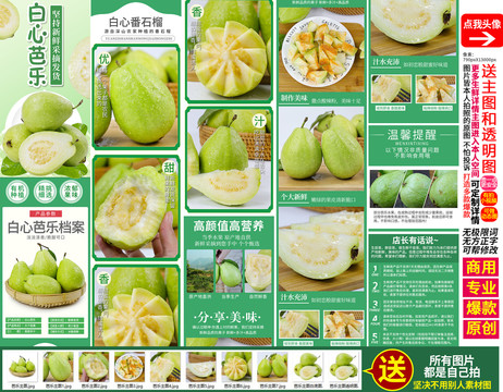 白心芭樂詳情番石榴詳情主圖