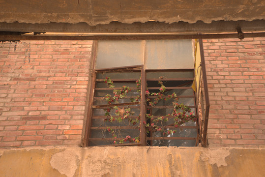 废弃工厂窗户