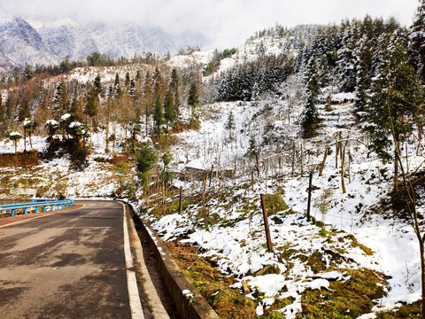 乡村公路雪景