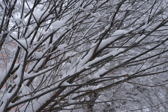 积雪