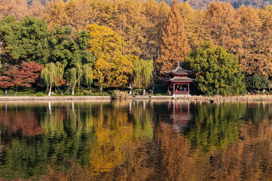 杭州北山街秋色