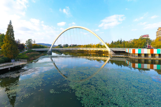 青岛李村河斜拉桥