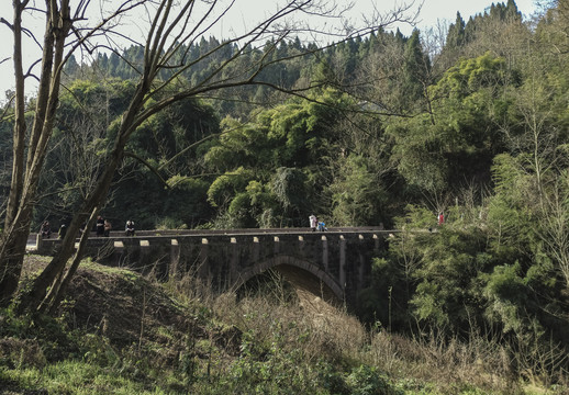 乡村小景