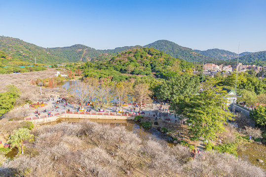 萝岗香雪公园全景