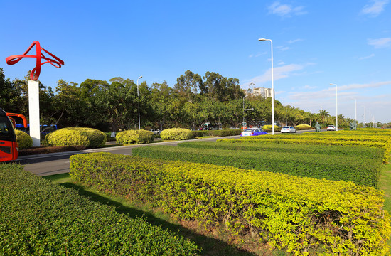 厦门街景