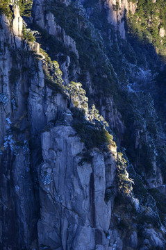 黄山冬景