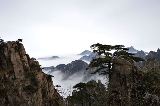 黄山冬景