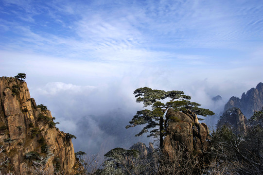 黄山冬景