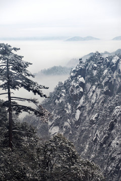 黄山冬景