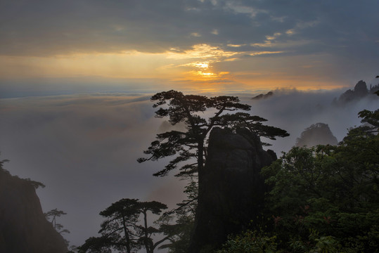 黄山冬景