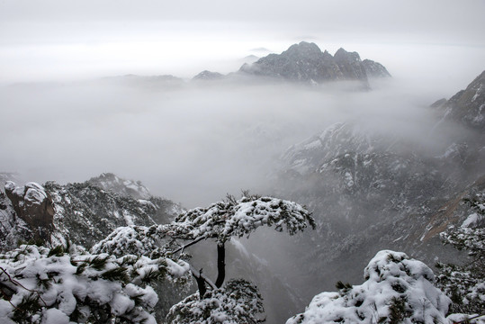 黄山冬景