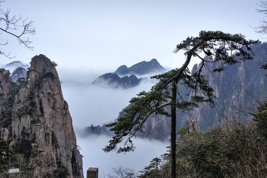 黄山冬景