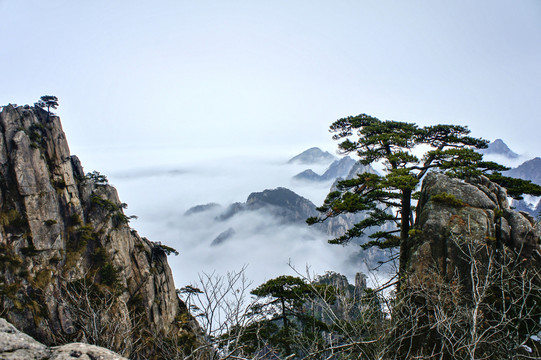 黄山冬景