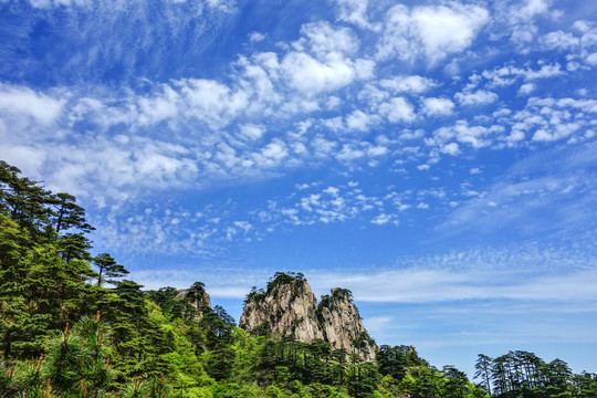 黄山冬景