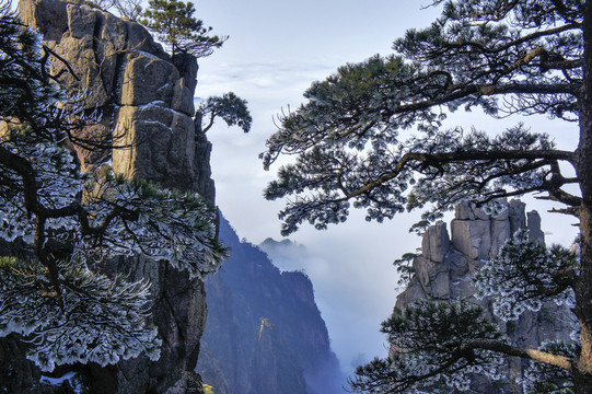 黄山冬景