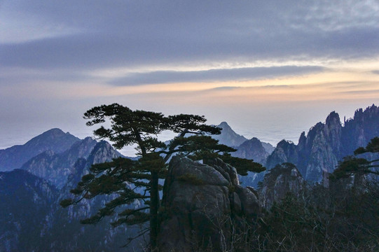 黄山冬景