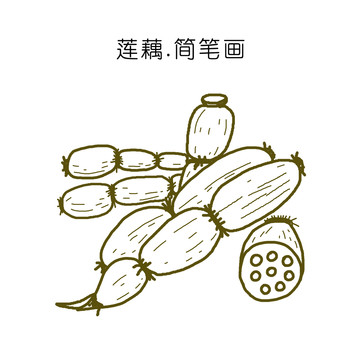 莲藕简笔画